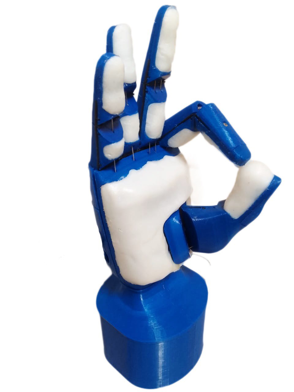 photo_2025-09-19_стартап ИЭМ протез верт.jpg