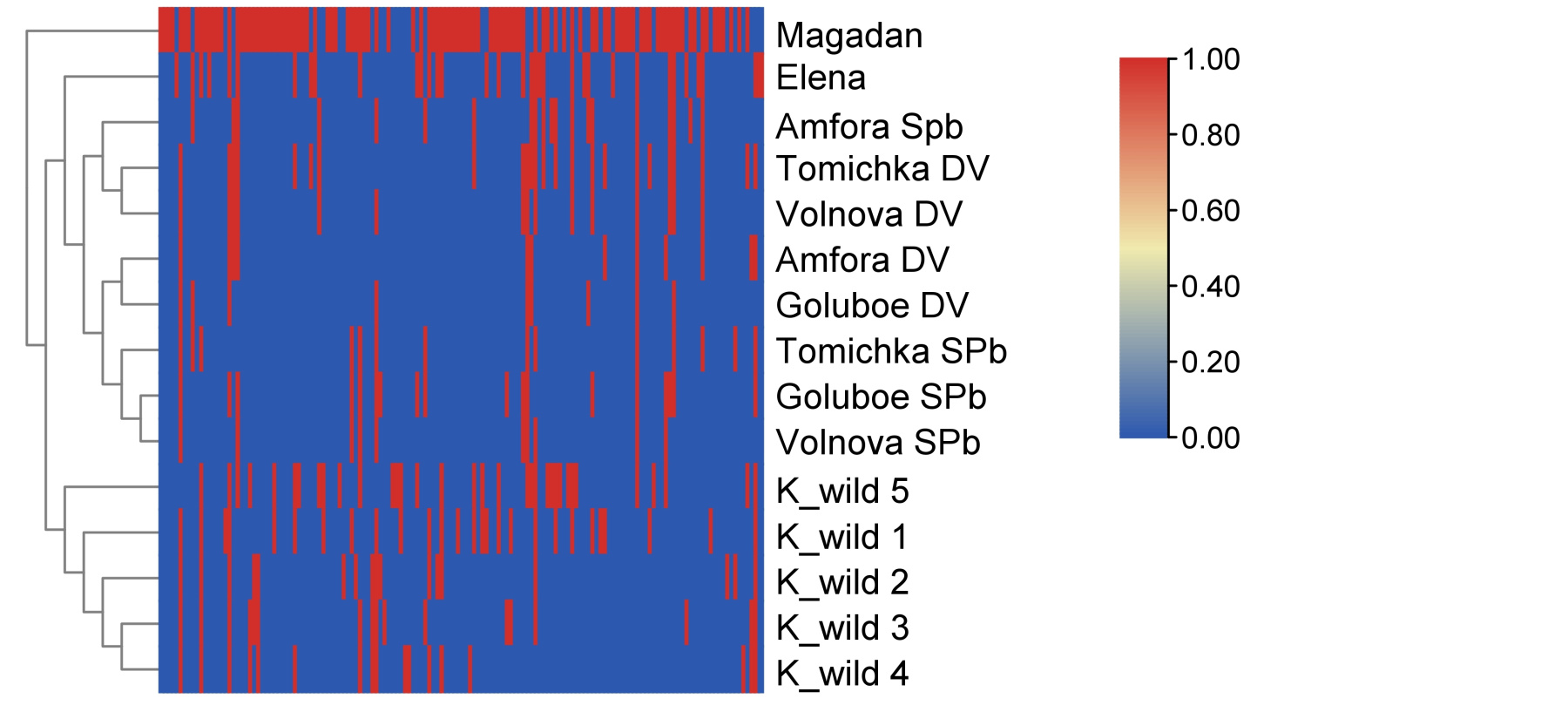 Heatmap 4.600dpi__.jpg