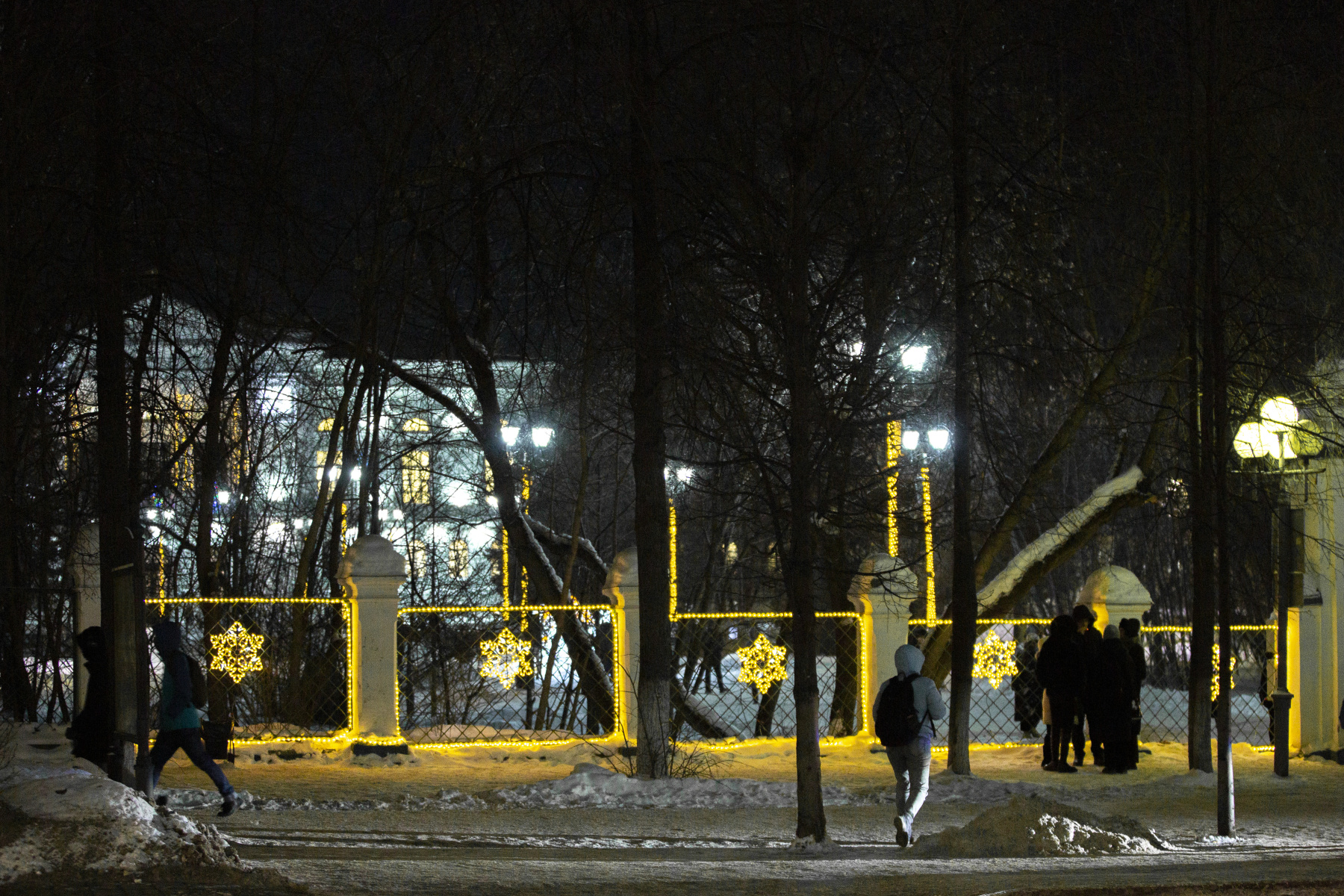 577A9835.jpg 577A9835.jpg