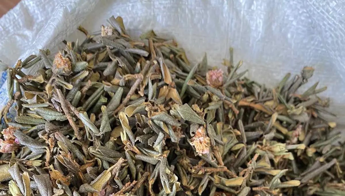 6d8b3_чай сагаан-дали _гор.jpg