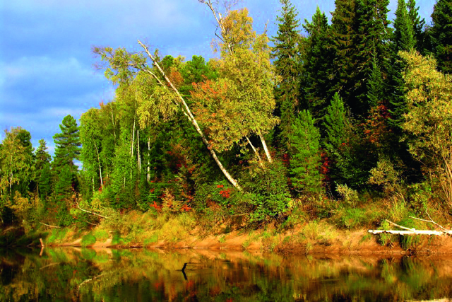 Фото из альбома «Дом, в котором мы живем» 17.jpg