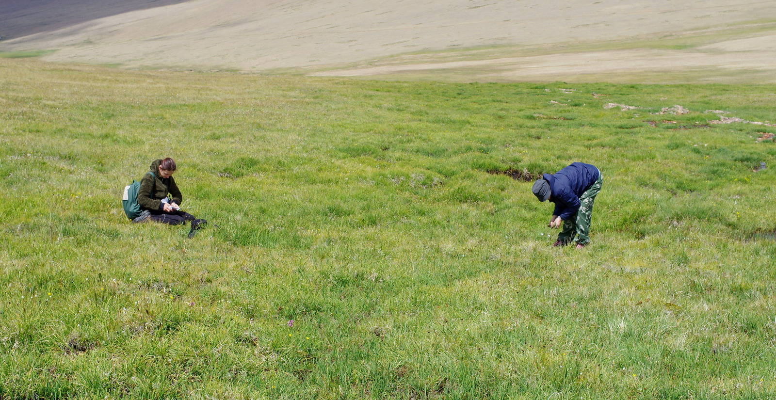 IMGP2147 полевые исследования БИ ТГУ.JPG