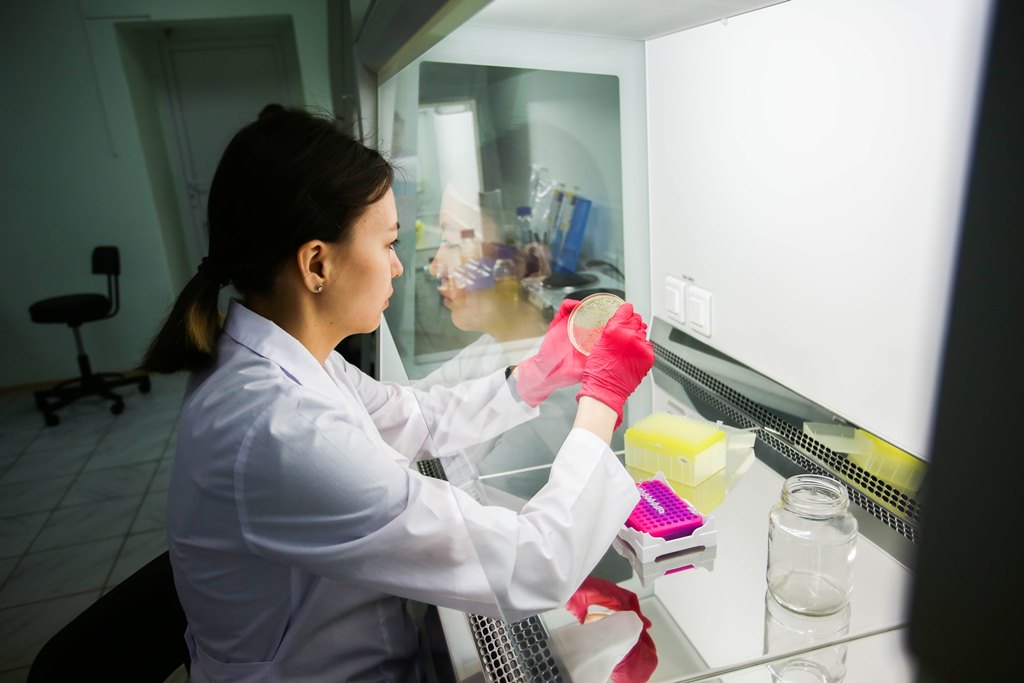 Студенты научатся создавать новые живые системы