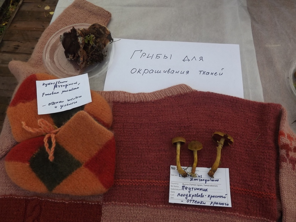 DSCF0023_новый размер.jpg