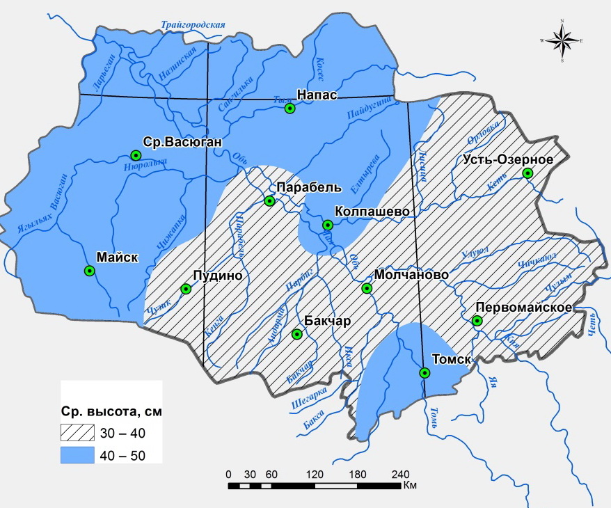 Средняя высота снежного покрова в Томской области.jpg