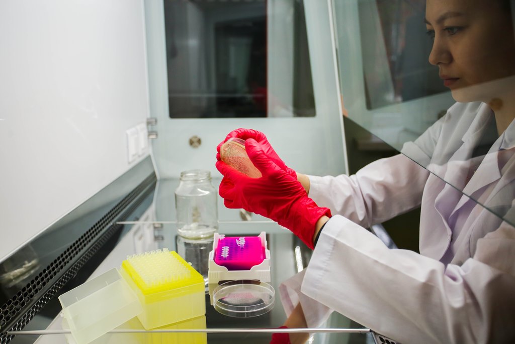 В лаборатории БИ ТГУ 577A7047 БИ ТГУ генетика.jpg