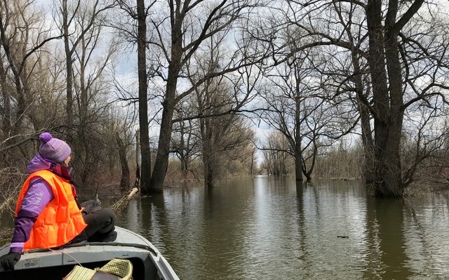 отбор проб в весеннее половодье в пойме Оби _фото БиоГеоКлим ТГУ.jpeg