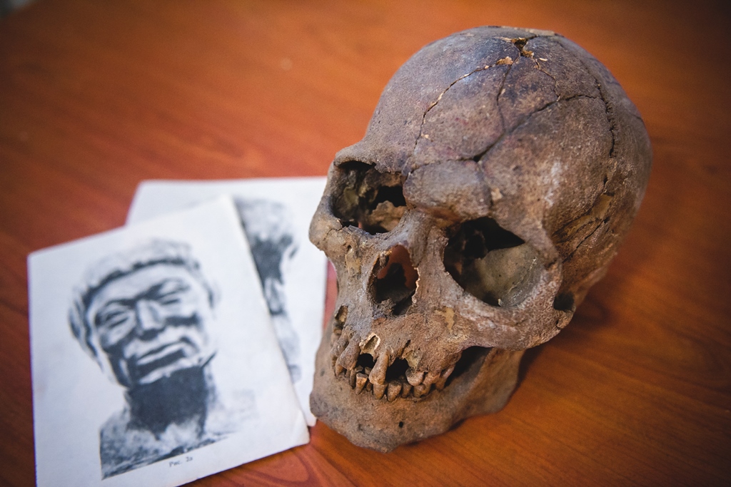 Коллекция ТГУ Коллекция ТГУ