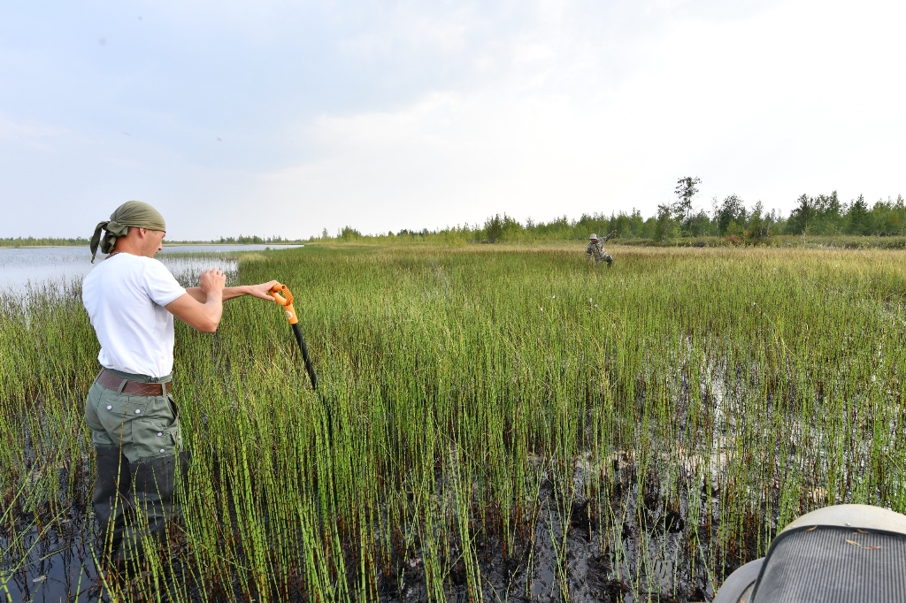 ����� ���� �� ������.jpg