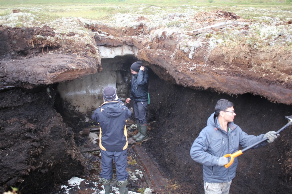 Ученые ТГУ проводят полевые исследования dsc0010.jpg