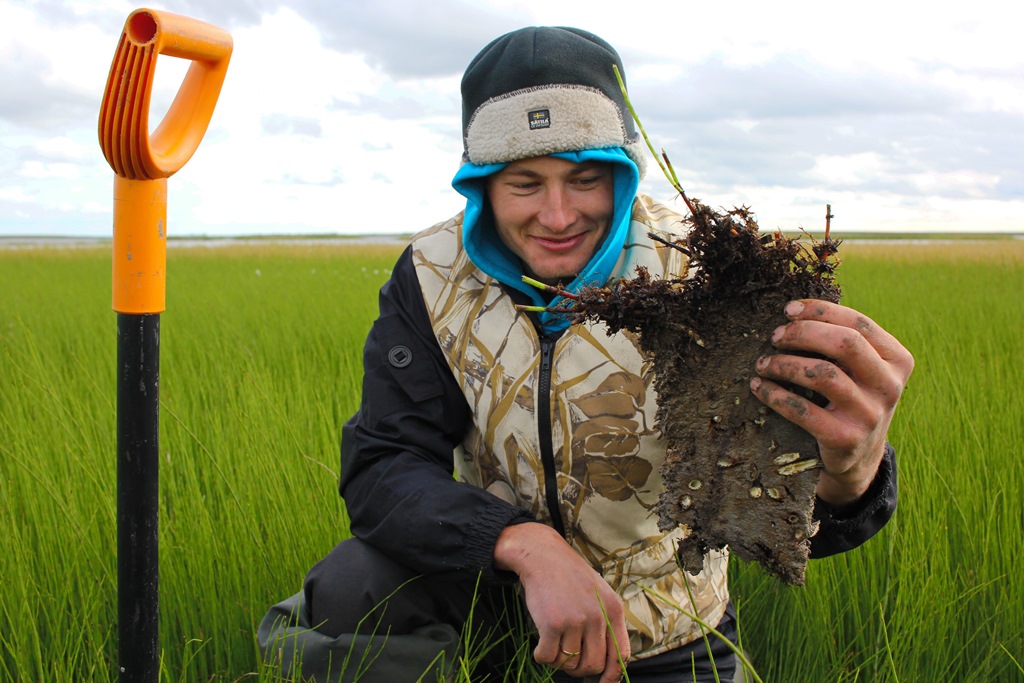 Хасыреи - «оазисы» с кустарниково-луговой растительностью 2018_09.JPG