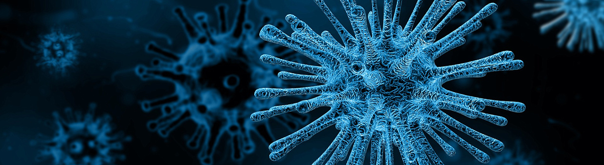 Человечество vs вирусы, или почему учить микробиологию должны все
