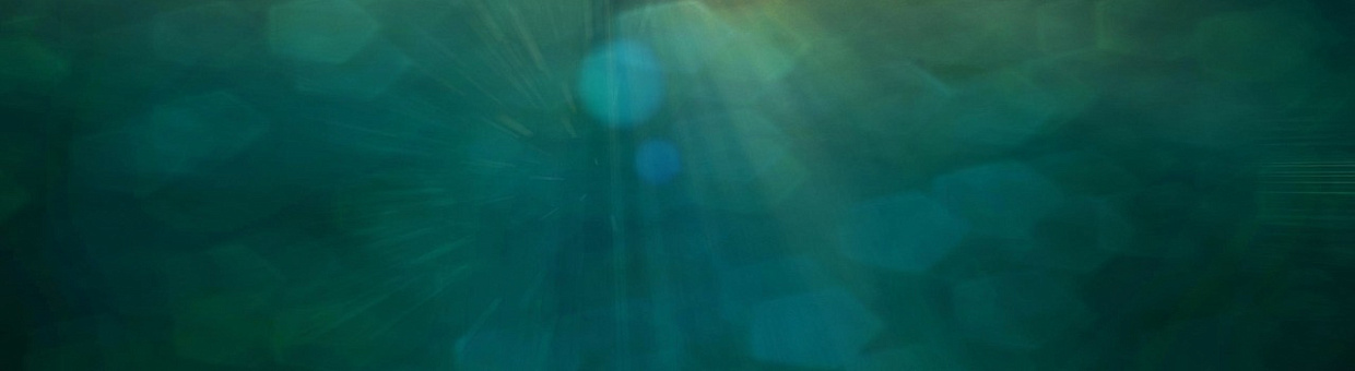 Директор ИЭМ ТГУ Евгения Нехода: Жизнь сложнее, чем теория