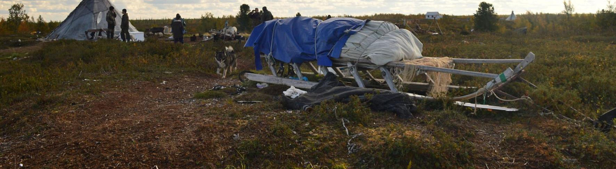 Учёные сравнили уровень химэлементов в оленине в 5 арктических странах