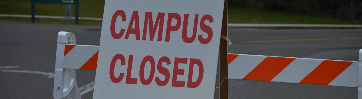 Зарубежные кампусы – 2020: открываться или закрываться? Часть 1
