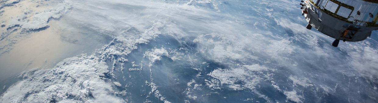 Учёные БИ ТГУ ведут мониторинг миграции птиц с помощью МКС