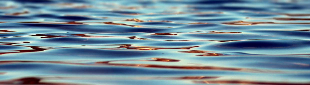 ТГУ и «Самотлорнефтегаз» получили награду за очистку озера от нефти