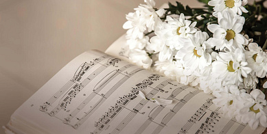 Культурные выходные: Музыкальный букет