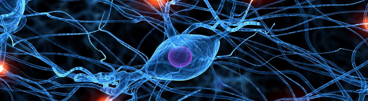 В ТГУ научили нейронные сети определять группы риска по психотипу 