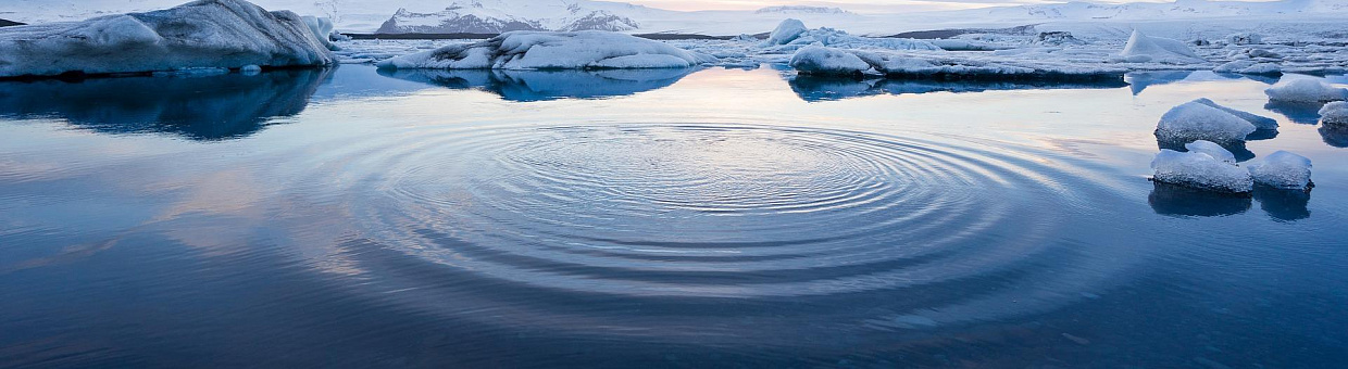 ТГУ вошёл в крупнейший международный проект по изучению Арктики