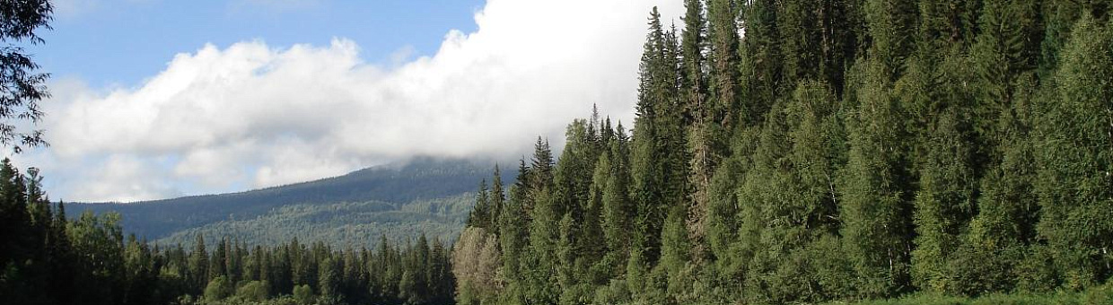 «Мега-установка» на экологичное будущее. Часть 2