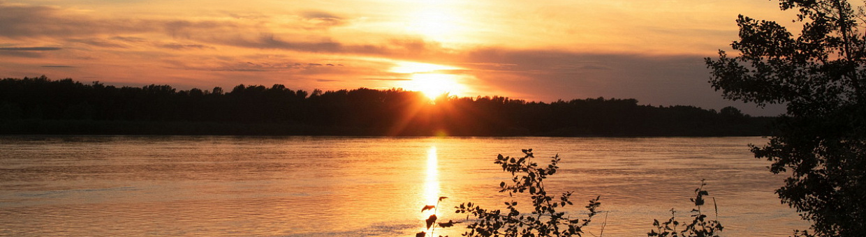 Студенты-кураторы узнали, как помочь 1-курсникам адаптироваться в вузе