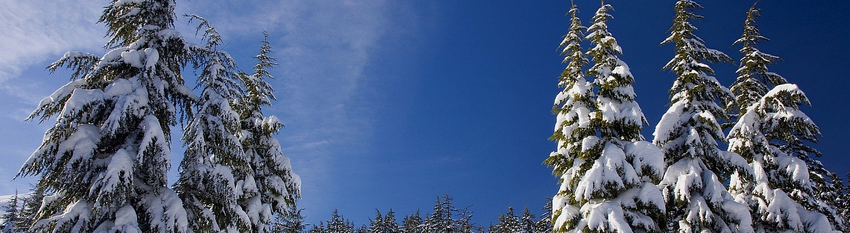 За 50 лет температура на севере Сибири повысилась почти на 4 градуса