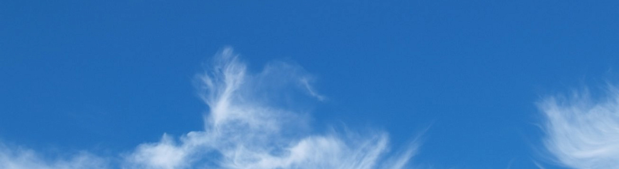 На «Близнецовой субботе» рассказали об исследованиях детского развития