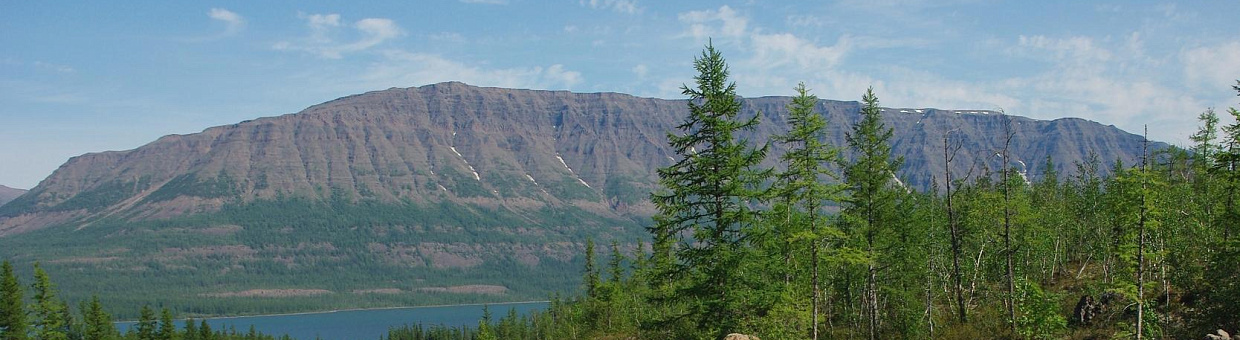 Биологи ТГУ предложили новую концепцию выживания видов в Арктике