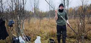 Учёные «прочитают» историю десятков болот в РФ, чтобы сохранить их