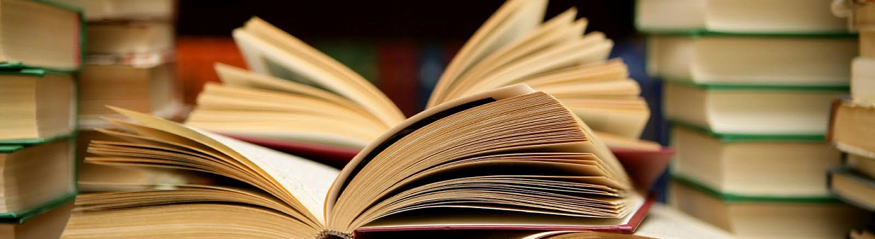 Елена Суханова: своего абитуриента нужно вырастить