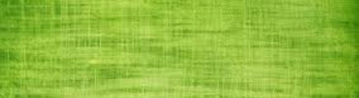 ТГУ запустил в Томске семинары по «перезагрузке» службы занятости