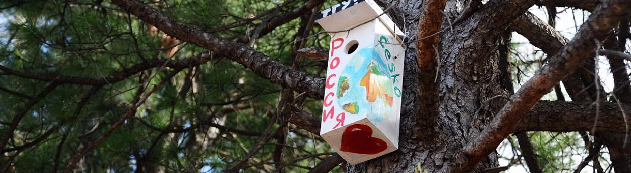 Скворечники, раскрашенные иностранными студентами ТГУ, заселяют птицы