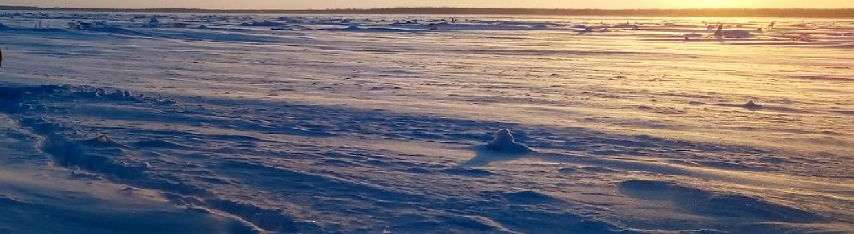 Учёные выясняют особенности переноса тяжёлых металлов в атмосфере 