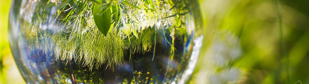 Кафедре – 90 лет: Чем дальше заходит цивилизация, тем нужнее почвоведы