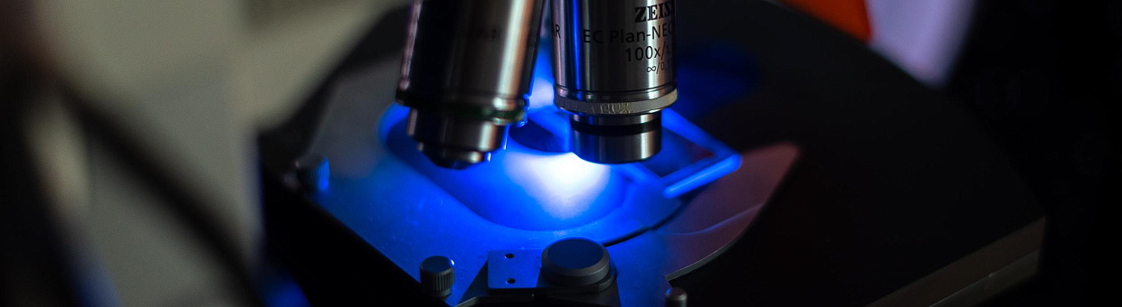 Приоритет 2030: Изучение иммунной системы микробов поможет создать новые антибиотики