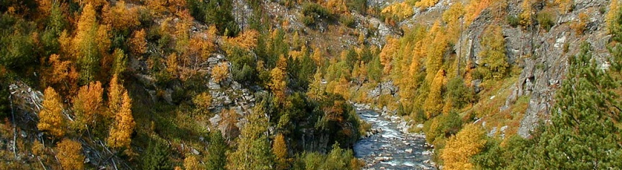 Ученые ТГУ и Алтая объединят усилия в изучении Сибири