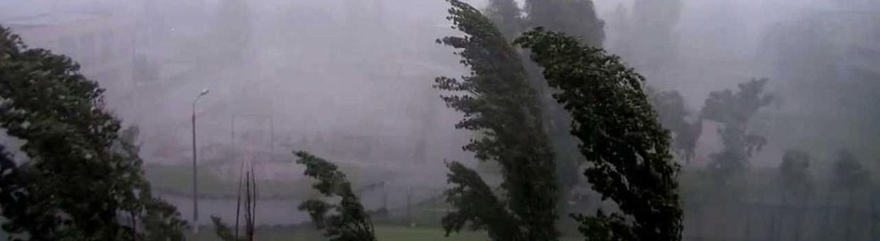 Куда дует ветер: метеорологи ТГУ о причинах частых шквалов в Сибири