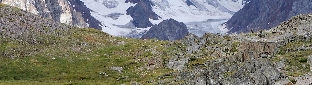 Королева Великобритании наградила ученого ТГУ рыцарским орденом