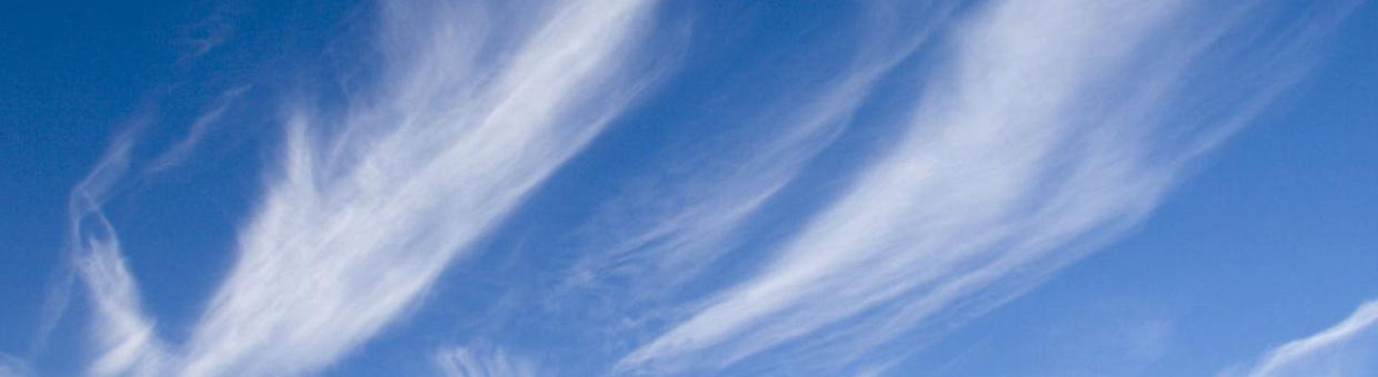 Общий старт: сотрудники ТГУ присоединятся к томскому марафону