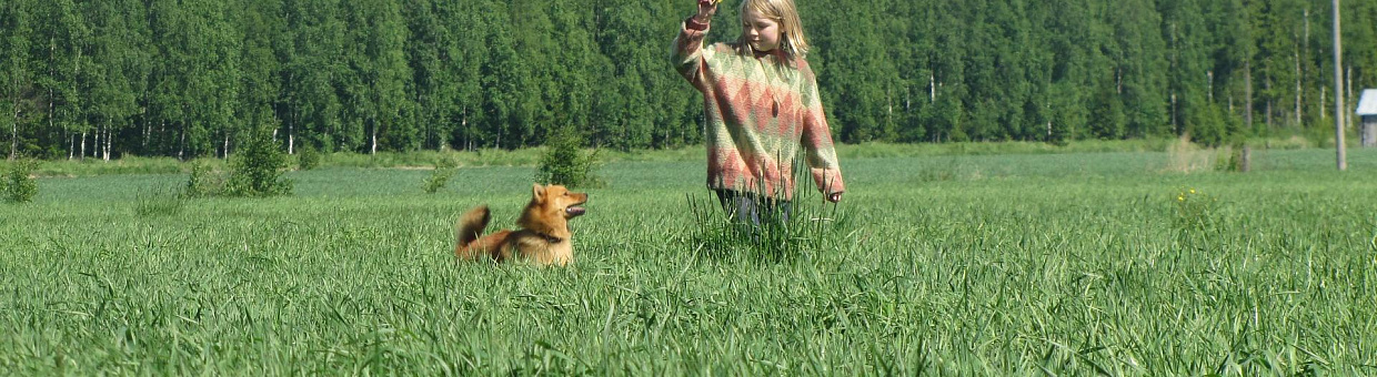 Новый онлайн-курс ТГУ объяснит отличия сознания человека и животного