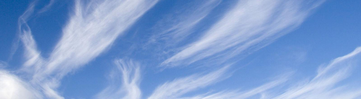 «Не летай в облаках, анализируй»: ТГУ провел конкурс по машинному обучению