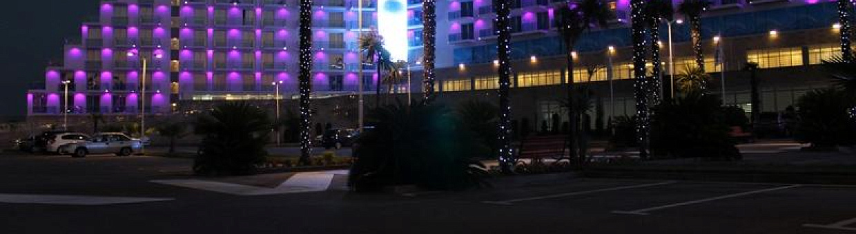 ТГУ на базе «Сириуса» начинает проект по изучению одаренности