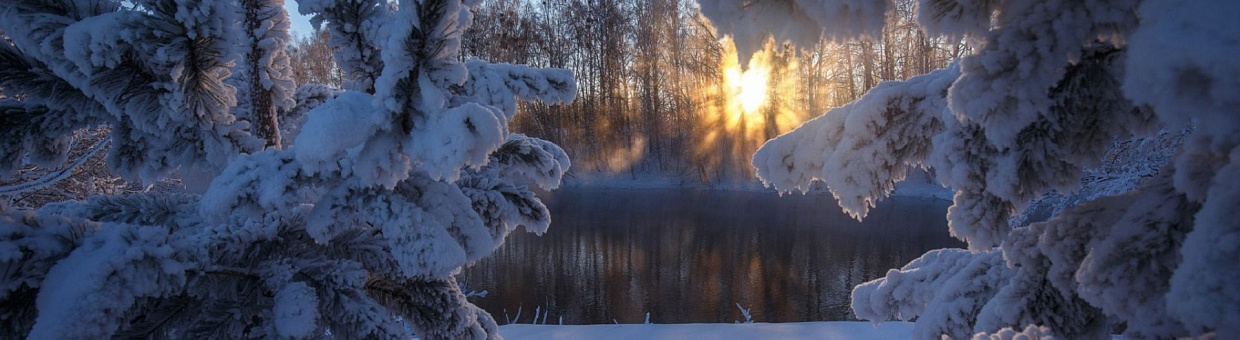 Этот худший-лучший год?