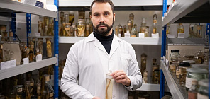 Учёные ТГУ исследовали эталонный столетний экземпляр сибирской миноги 