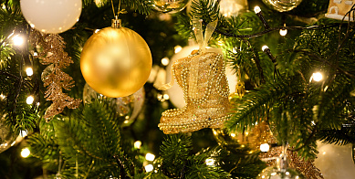 Акция «Елка желаний» на телеканале Россия 24. Вести