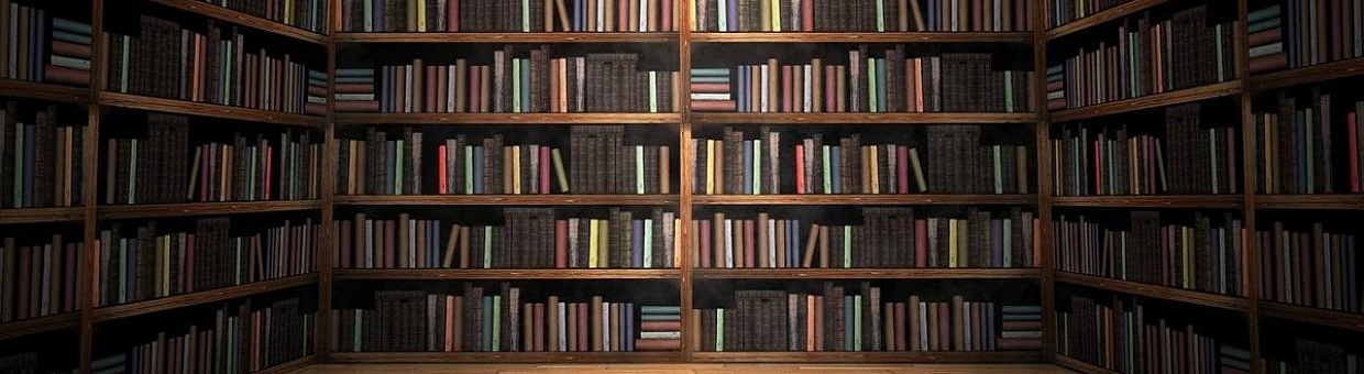 От хранилища к сервису: новая роль библиотек в технологическом лидерстве