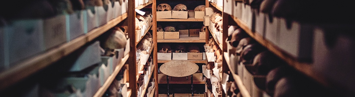 Ученая ТГУ – соавтор крупнейшего исследования древней человеческой ДНК