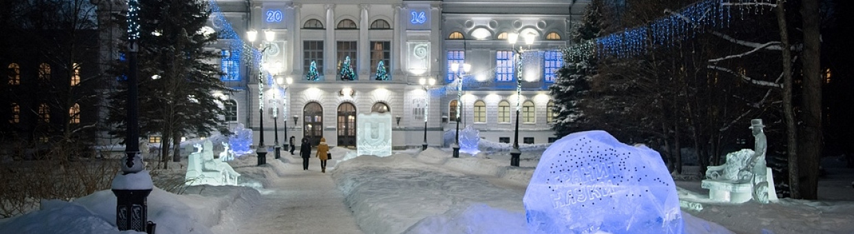 В ТГУ выяснили, как избежать перегрузок сотовых сетей в Новый год