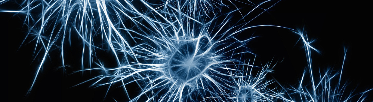 Учёные узнали, как организм спасает центр памяти при ишемии мозга
